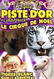 Le Cirque de Noël La Piste d'Or à Chateauroux. Du 29 novembre au 3 décembre 2017 à CHATEAUROUX. Indre.  16H00